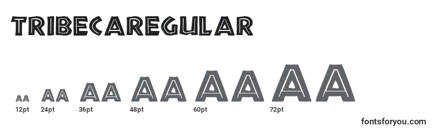 Размеры шрифта TribecaRegular