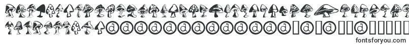 Shrooms ffy Font – Fonts for Adobe Illustrator