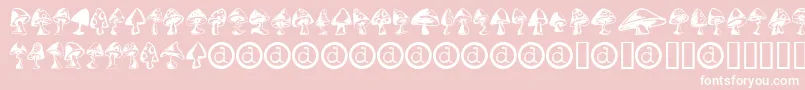 Shrooms ffy Font – White Fonts on Pink Background