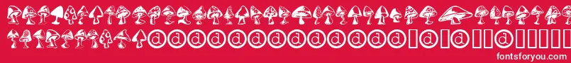 Shrooms ffy Font – White Fonts on Red Background