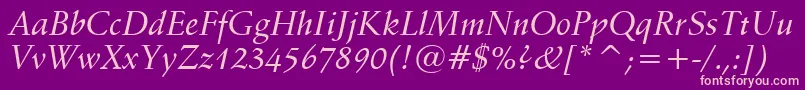 SchneidlerMediumItalicBt Font – Pink Fonts on Purple Background