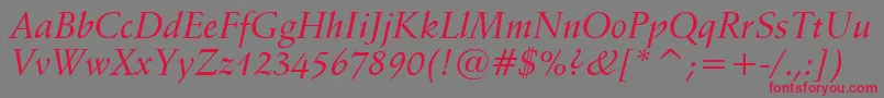 SchneidlerMediumItalicBt Font – Red Fonts on Gray Background