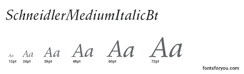 Размеры шрифта SchneidlerMediumItalicBt