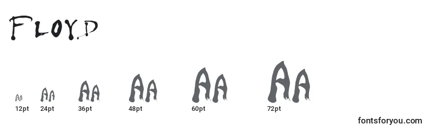 Размеры шрифта Floyd