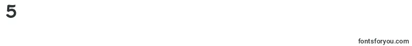 FenwickrgBold Font – Fonts for Digit 5