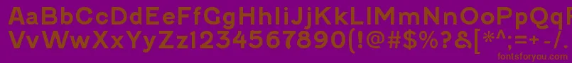 FenwickrgBold Font – Brown Fonts on Purple Background