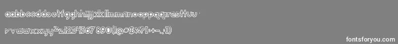 フォントEchootf – 灰色の背景に白い文字