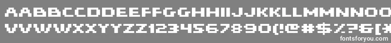 Hiskyflipperhibold Font – White Fonts on Gray Background