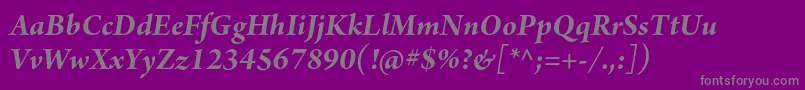 ArnoproBolditalicsubhead-Schriftart – Graue Schriften auf violettem Hintergrund