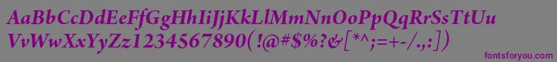 ArnoproBolditalicsubhead-Schriftart – Violette Schriften auf grauem Hintergrund