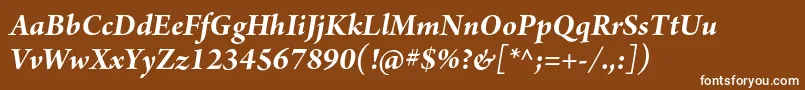 フォントArnoproBolditalicsubhead – 茶色の背景に白い文字