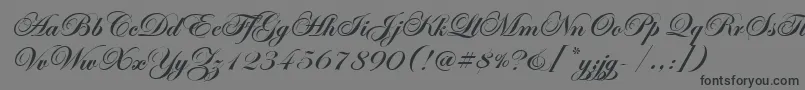 EasyStreetEpsBold-Schriftart – Schwarze Schriften auf grauem Hintergrund