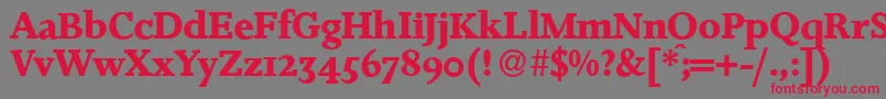 JosieBold Font – Red Fonts on Gray Background
