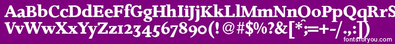 フォントJosieBold – 紫の背景に白い文字