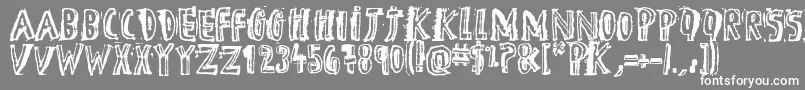 フォントDTheHero – 灰色の背景に白い文字