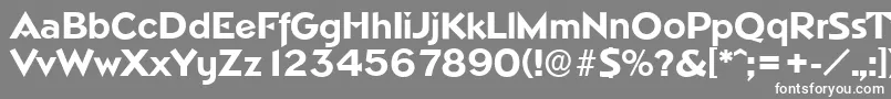 NapoliserialXboldRegular Font – White Fonts on Gray Background
