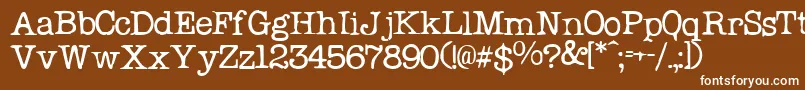 フォントProblemSecretaryNormal – 茶色の背景に白い文字