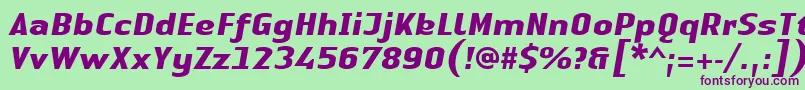 LinotypeAuthenticSansBolditalic Font – Purple Fonts on Green Background