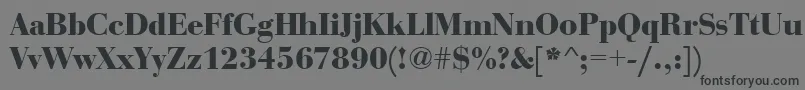 BauerboddeeBold Font – Black Fonts on Gray Background