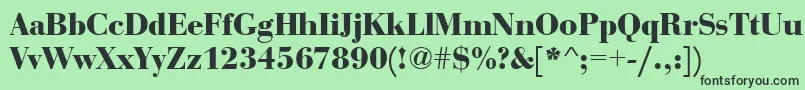 BauerboddeeBold Font – Black Fonts on Green Background