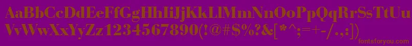 BauerboddeeBold Font – Brown Fonts on Purple Background