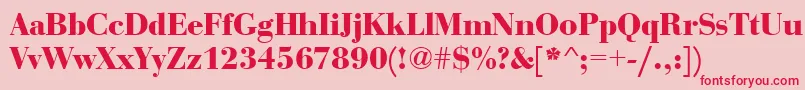 BauerboddeeBold Font – Red Fonts on Pink Background