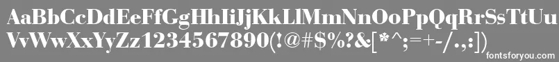 BauerboddeeBold Font – White Fonts on Gray Background