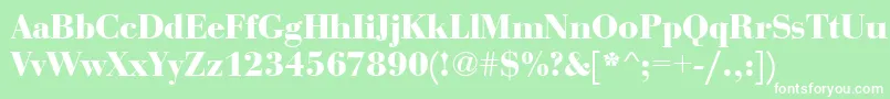 BauerboddeeBold Font – White Fonts on Green Background