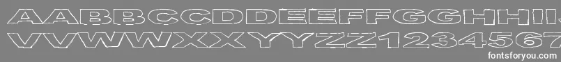 BirdsRequiem Font – White Fonts on Gray Background