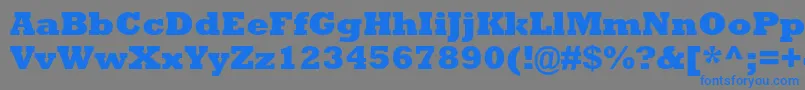 RockwellstdExtrabold Font – Blue Fonts on Gray Background