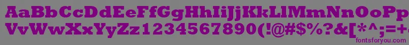 RockwellstdExtrabold Font – Purple Fonts on Gray Background