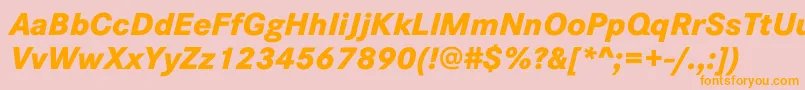 CorporateSW10XboldItalic Font – Orange Fonts on Pink Background