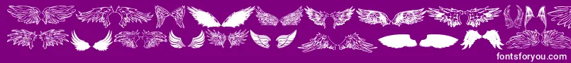 WingsOfWindTfb Font – White Fonts on Purple Background