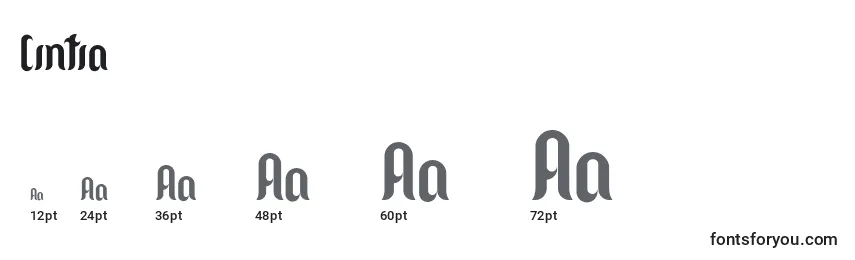 Размеры шрифта Cintia