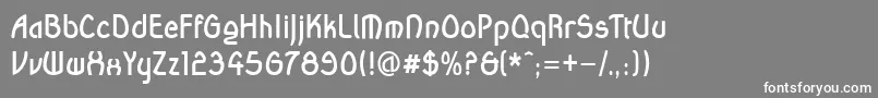 フォントWandaBold – 灰色の背景に白い文字