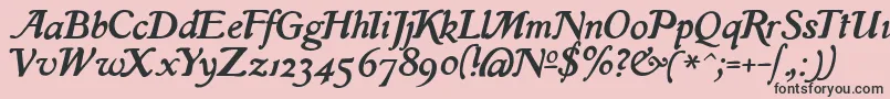 IslaRegular Font – Black Fonts on Pink Background