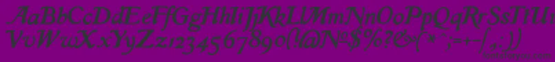 IslaRegular Font – Black Fonts on Purple Background