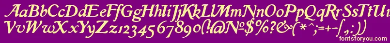 IslaRegular Font – Yellow Fonts on Purple Background