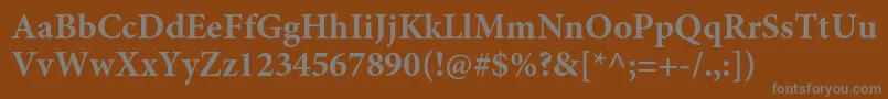 MinionproBold-Schriftart – Graue Schriften auf braunem Hintergrund