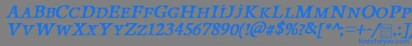 PapillonsItalicDemo Font – Blue Fonts on Gray Background