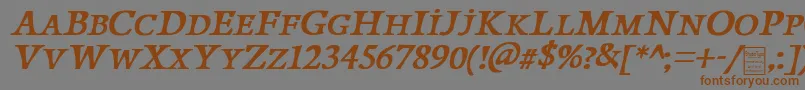 PapillonsItalicDemo Font – Brown Fonts on Gray Background