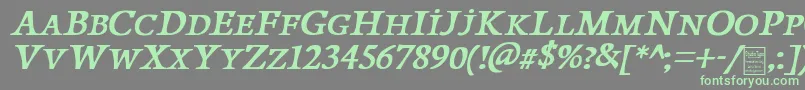 PapillonsItalicDemo Font – Green Fonts on Gray Background