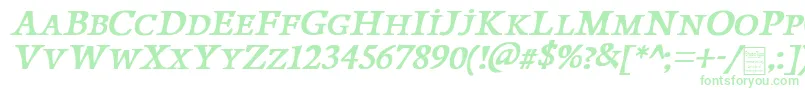 PapillonsItalicDemo Font – Green Fonts on White Background