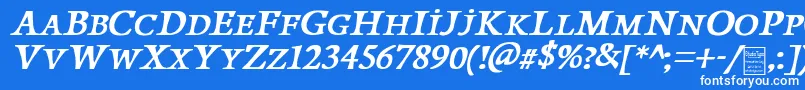 PapillonsItalicDemo Font – White Fonts on Blue Background