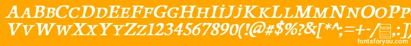 PapillonsItalicDemo Font – White Fonts on Orange Background