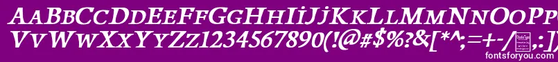 PapillonsItalicDemo Font – White Fonts on Purple Background