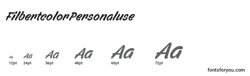 FilbertcolorPersonaluse Font Sizes
