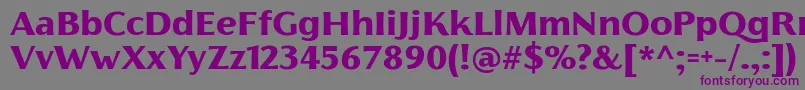 FlorentiaExtraboldTrial Font – Purple Fonts on Gray Background