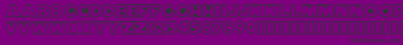 Bernardi Font – Black Fonts on Purple Background