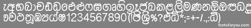 フォントDusharnbi – 灰色の背景に白い文字